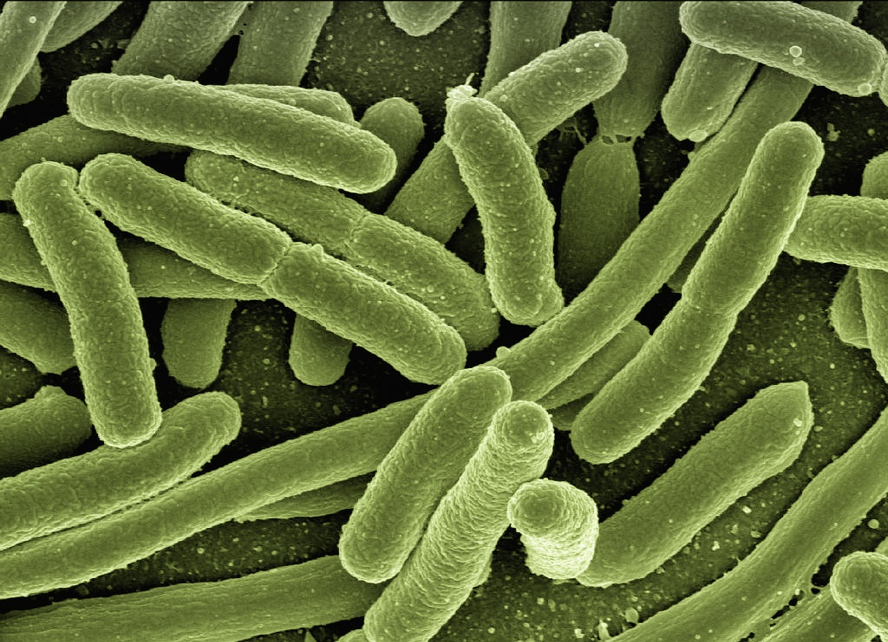 Wie können Sie Ihr Immunsystem natürlich stärken?